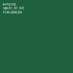 #1F613E - Fun Green Color Image